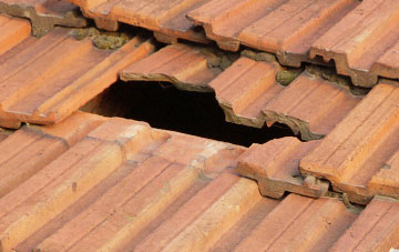 roof repair Penegoes, Powys